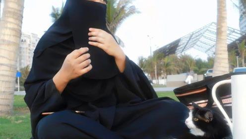 娱乐吃瓜君校长,揭秘娱乐圈背后的那些事儿