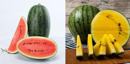 有啥吃瓜的论坛,一网打尽娱乐圈最新动态