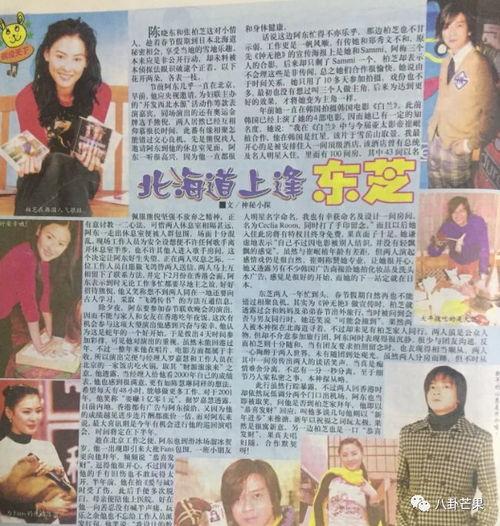 娱乐圈吃瓜写手,揭秘幕后真相，吃瓜群众狂欢时刻