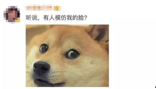 微信表情包吃瓜表达什么意思,揭秘微信表情包“吃瓜”背后的趣味与内涵